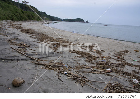 Garbage rushed to the beach Garbage rushed to the beach 78579764