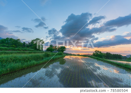 Photographed rice terraces in Kurihara, Otsu City, Shiga Prefecture in the early morning Photographed rice terraces in Kurihara, Otsu City, Shiga Prefecture in the early morning 78580504