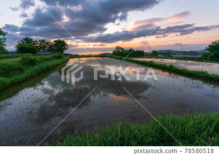 Photographed rice terraces in Kurihara, Otsu City, Shiga Prefecture in the early morning 78580518