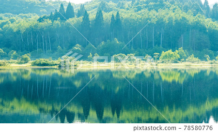 映照水面的翠綠林景（禦原湖） 78580776
