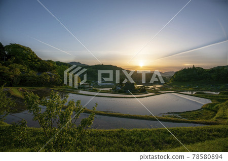 在Nagaya大阪府鼻子町清早採取的米大陽台 78580894