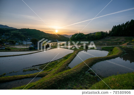 在Nagaya大阪府鼻子町清早採取的米大陽台 78580906