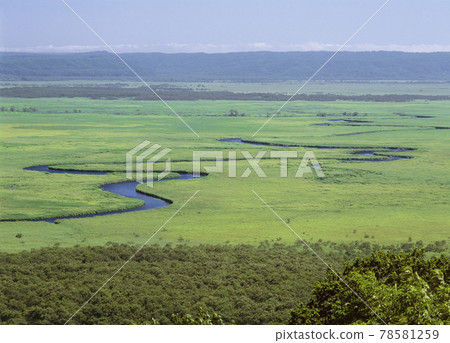 Kushiro Marsh in Summer (Tsurui Village, Hokkaido) Kushiro Marsh in Summer (Tsurui Village, Hokkaido) 78581259