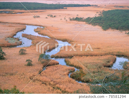 Cape Kirakotan in Autumn (Tsurui Village, Hokkaido) 78581294