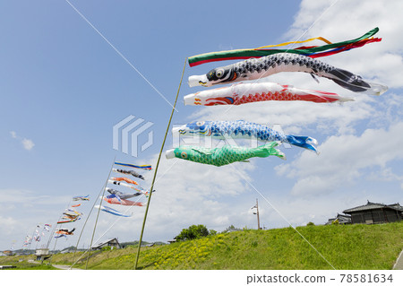 Carp streamer swimming in the wind Carp streamer swimming in the wind 78581634