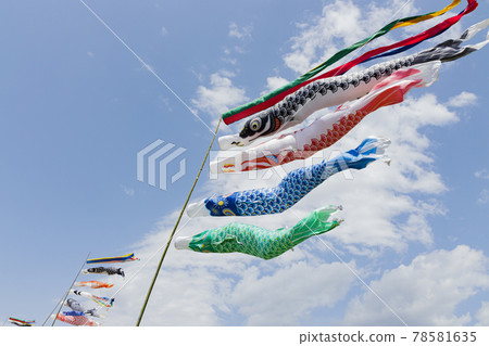 Carp streamer swimming in the wind Carp streamer swimming in the wind 78581635