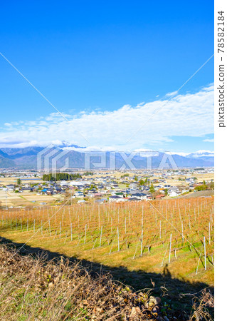 Scenery of Azumino (late autumn) Scenery of Azumino (late autumn) 78582184