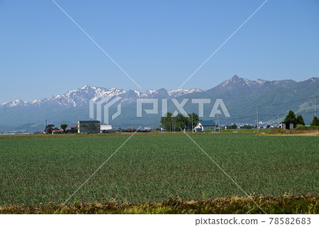 Summer landscape Summer landscape 78582683