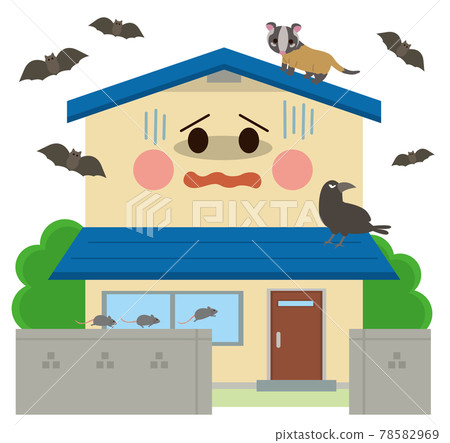 Residential vermin 78582969