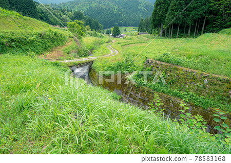 Take a picture of the terraced rice fields in the fields of Takashima City, Shiga Prefecture 78583168