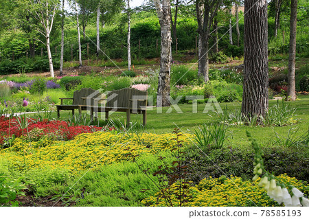 北海道花園高速公路大雪森之花園 78585193