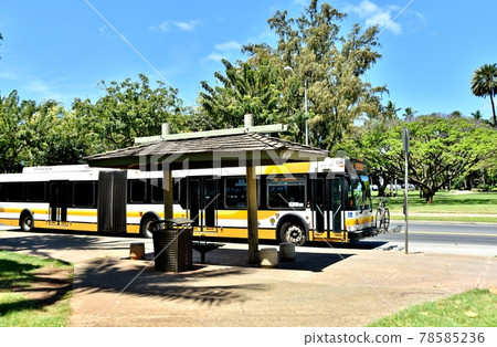 夏威夷的假期 78585236