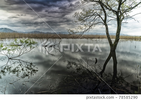 Photographed Hariehama in Shinasahi-cho, Takashima City, Shiga Prefecture Photographed Hariehama in Shinasahi-cho, Takashima City, Shiga Prefecture 78585290