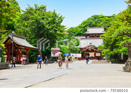Early summer Kamakura Tsurugaoka Hachimangu Shrine approach Early summer Kamakura Tsurugaoka Hachimangu Shrine approach 78586010