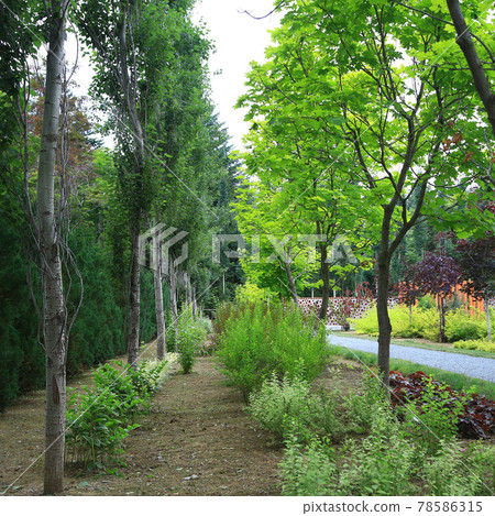 Hokkaido Manabe garden 78586315