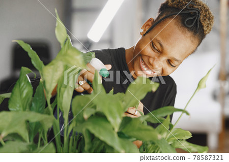 African woman take care about big plant African woman take care about big plant 78587321