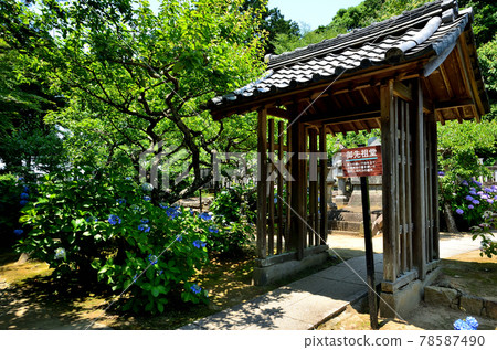 本光寺宗祠 本光寺宗祠 78587490