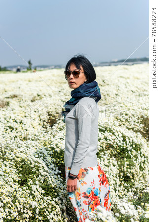 woman stand at the white chrysanthemum farm woman stand at the white chrysanthemum farm 78588223