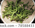 Freshly harvested green soybeans 78588433