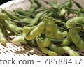 Freshly harvested green soybeans 78588437