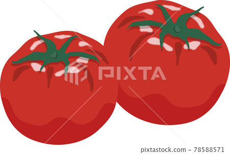 2 tomatoes 2 tomatoes 78588571