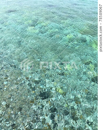 The sea seen from the Shirasaki Marine Park Observatory 78589067