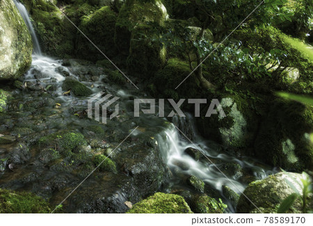 Beautiful moss-covered landscape and flowing river 78589170