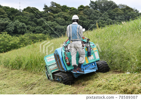 Weeding work on the bank 78589307