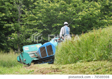 Weeding work on the bank 78589308