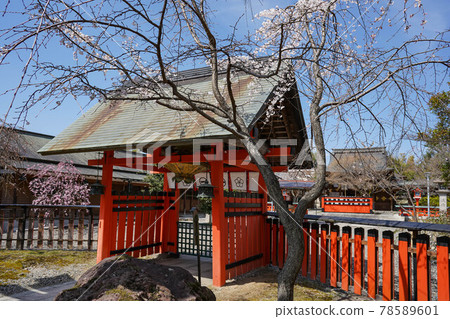 前往車崎神社和本宮的方法 78589601