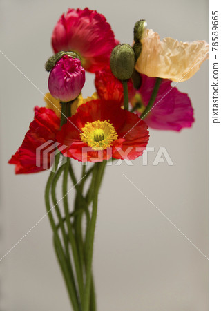 There is a bouquet of red and yellow poppy. There is a bouquet of red and yellow poppy. 78589665