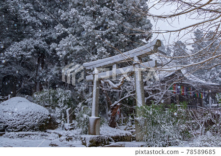 雪山寺(立尺寺) 雪山寺(立尺寺) 78589685