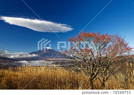 深秋富士山和高座山草原上的雲彩 78589753