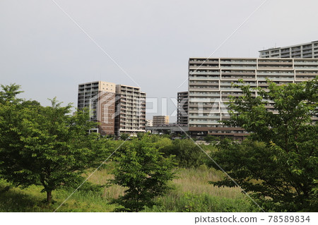建急學園站公園附近的風景(茨城縣筑波市) 建急學園站公園附近的風景(茨城縣筑波市) 78589834