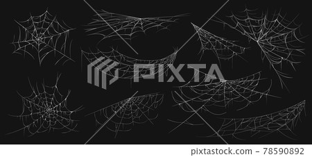 Realistic spider web. Scary cobwebs. Isolated insect nets. Halloween decoration line elements set. Arachnid nettings. Hanging white creepy spidery threads. Vector natural grid templates 78590892