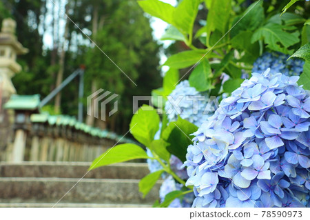 生駒寶山寺 78590973