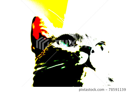 Cat russian blue 78591139