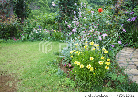 Akao Herb Garden Rose Akao Herb Garden Rose 78591552