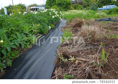 Path in the field Path in the field 78592015