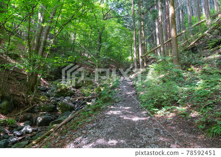 Bonooreyama mountain trail (Shiratanisawa course) 78592451