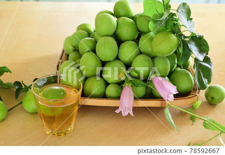 Umesh and plum fruit Umesh and plum fruit 78592667