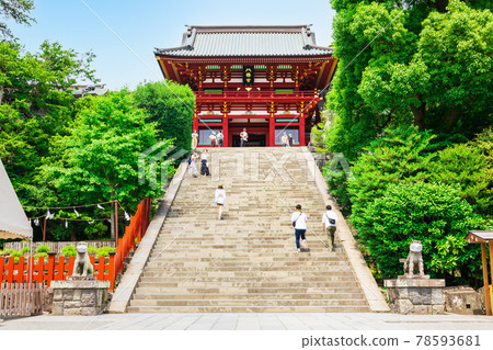 初夏鎌倉鶴岡八幡宮本宮和大石台階 初夏鎌倉鶴岡八幡宮本宮和大石台階 78593681