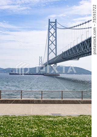 夏天從神戶舞子公園看到的明石海峽大橋和淡路島 夏天從神戶舞子公園看到的明石海峽大橋和淡路島 78593722