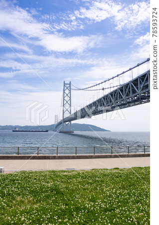 夏天從神戶舞子公園看到的明石海峽大橋和淡路島 78593724