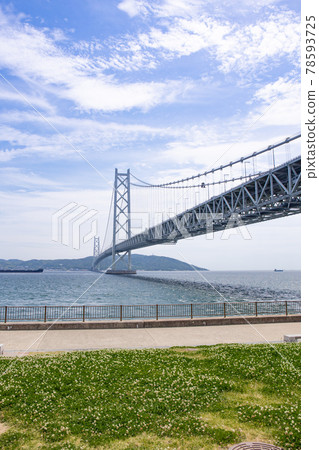 夏天從神戶舞子公園看到的明石海峽大橋和淡路島 78593725