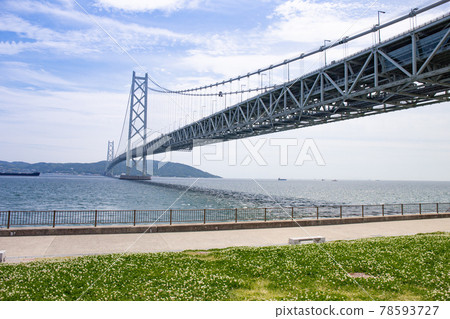 夏天從神戶舞子公園看到的明石海峽大橋和淡路島 78593727