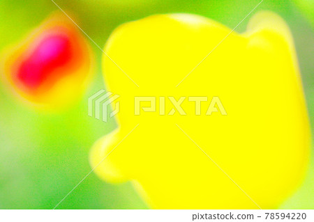 Out-of-focus 78594220