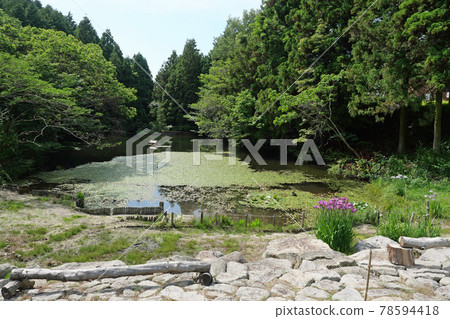 山口縣親友公園池塘 山口縣親友公園池塘 78594418