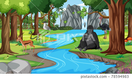 Forest scene with different wild animals 78594983