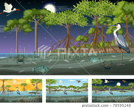 Different mangrove forest landscape scenes with animals and plants 78595248